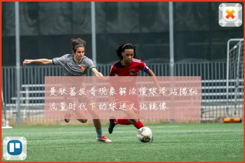 曼联蓄发哥现象解读懂球译站揭秘流量时代下的球迷文化镜像